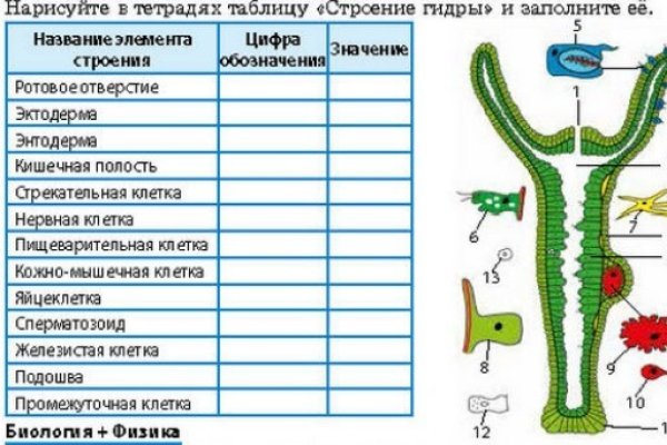 Как зайти на kraken маркетплейс