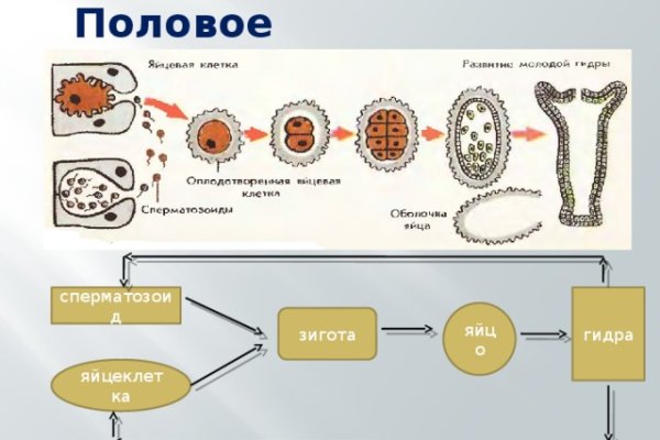 Не могу зайти в кракен