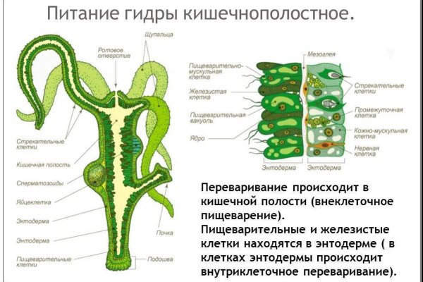 Кракен сообщество