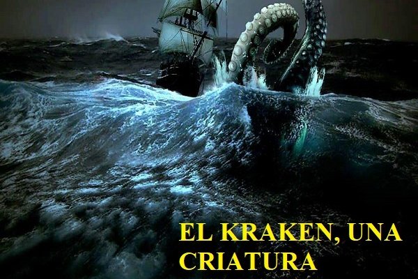 Kraken marketplace