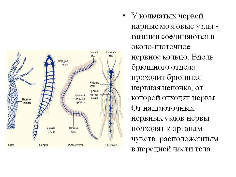 Кракен ссылка bazaonion com