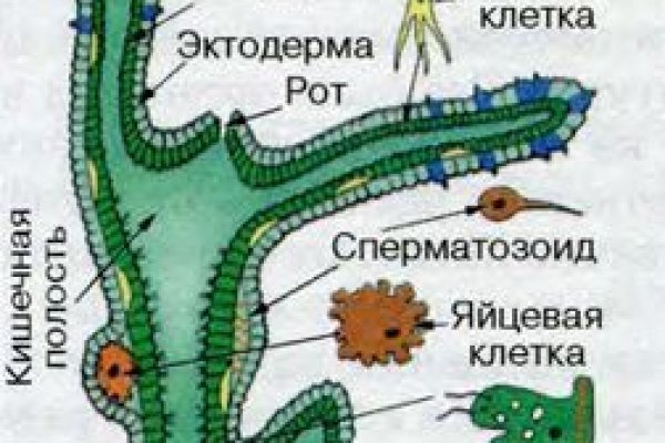 Кракен тор ссылка онион
